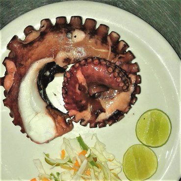 Grilled octopus